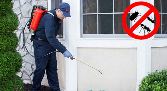 Lüleburgaz Bit İlaçlama böcek ilaçlama ve haşere kontrolü — ilaclama-tr.com